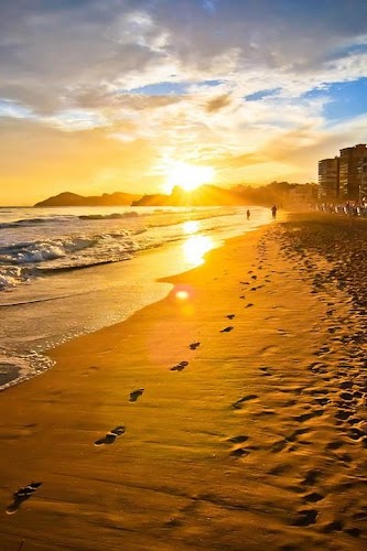 Beach Hd Wallpaper On Google Play Reviews Stats
