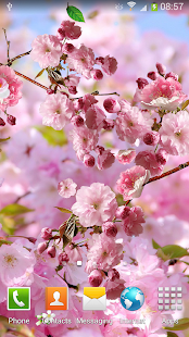 Sakura Live Wallpaper(圖4)-速報App