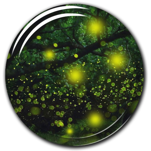 Fireflies Live Wallpaper 個人化 App LOGO-APP開箱王