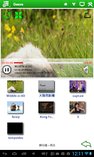 How to install Guava - DLNA Media Player lastet apk for pc