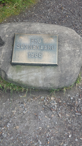 Pro Sonnenberg 1988