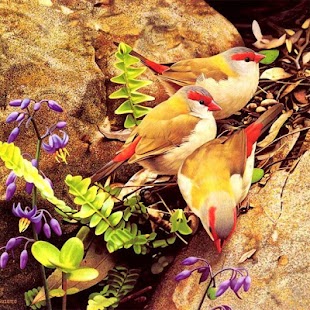 How to mod Birds Jigsaw Puzzles patch 2.9.27 apk for pc