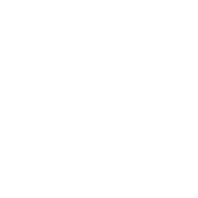 John316  Icon