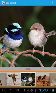 Bird Sound Screenshots 0