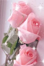 صورة رمزية ورد وردي I Love You صور ورد وزهور Rose Flower Images