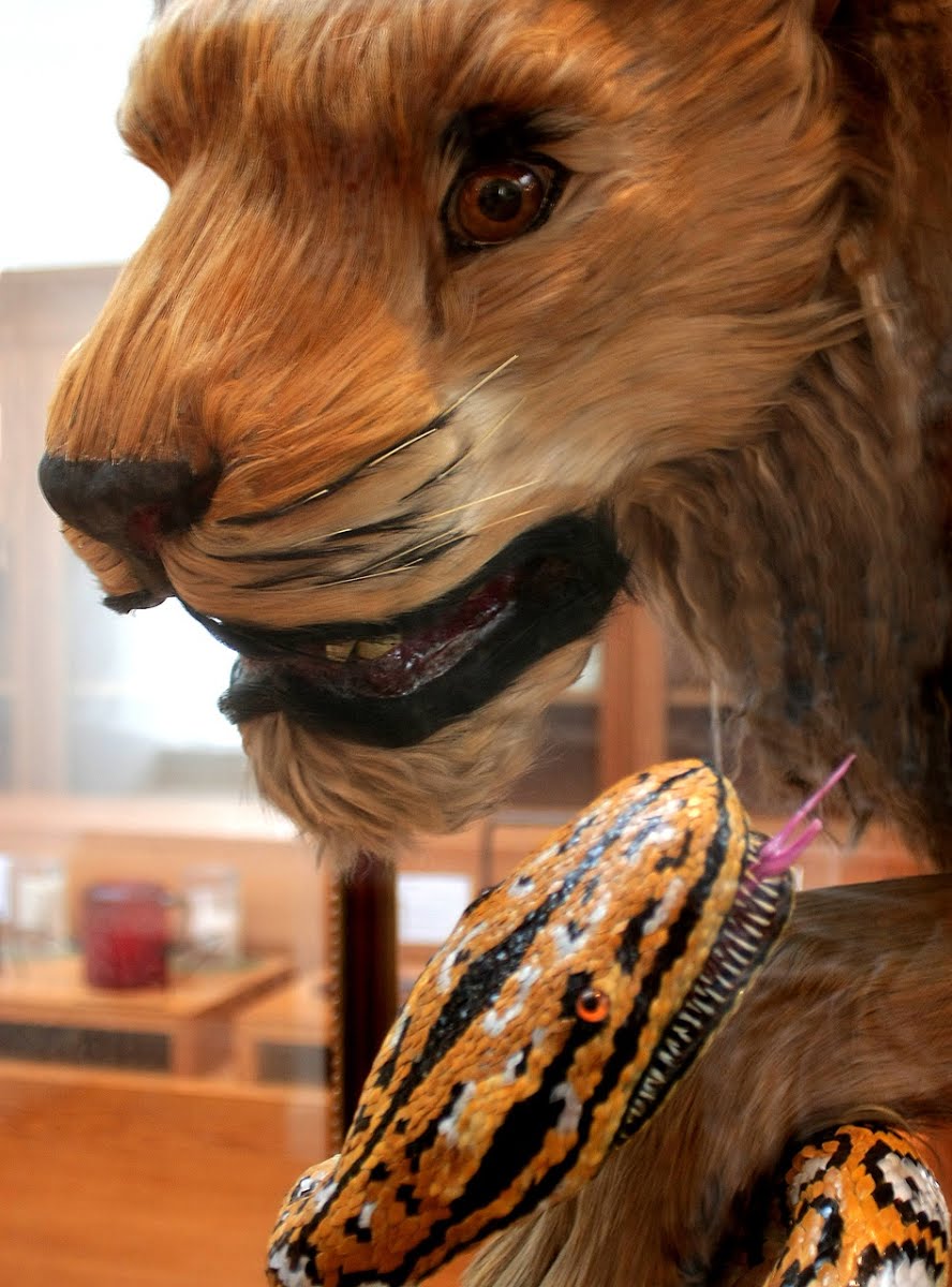 Le Lion Et Le Serpent Rene Lambourg Google Arts Culture