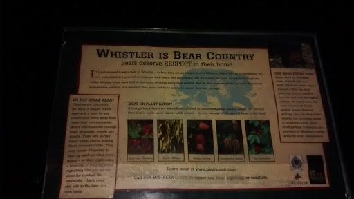 Whistler Is Bear Country 