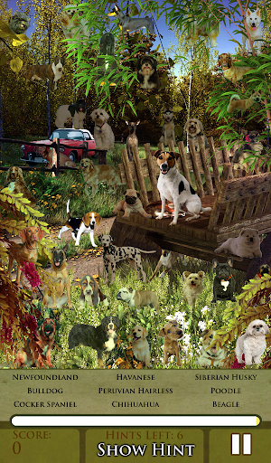 Hidden Object - Let Dogs Out