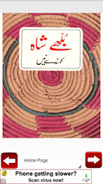 Bulleh Shah Kehnde Nain poetry poster 2