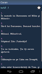 Quran in Romanian poster 2