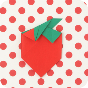 1st Origami for Kids 4 Sample 2.1