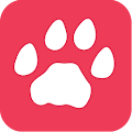 Cougar Life Apk