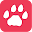 Cougar Life Download on Windows