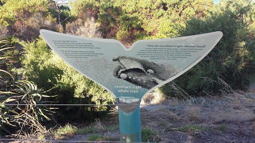 The Southern Right Whale Trail