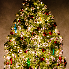 by Angelo Perrino - Public Holidays Christmas