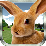 Mountain Rabbit SIM 3D Apk