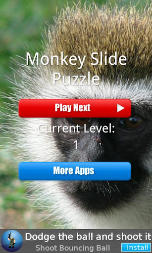 Monkey Slide Puzzle