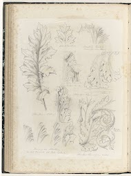 Elf motieven van acanthusbladeren