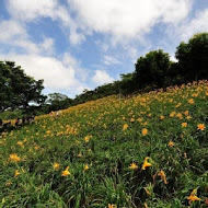 沐心泉休閒農場