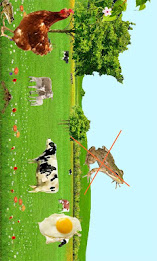 Flying Eggs poster 3