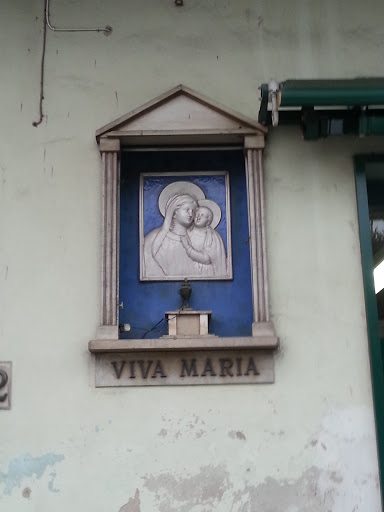 Campi Viva Maria