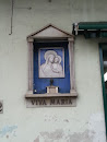 Campi Viva Maria