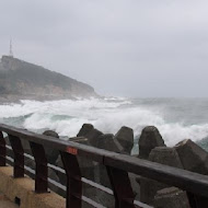 馬槽花藝村