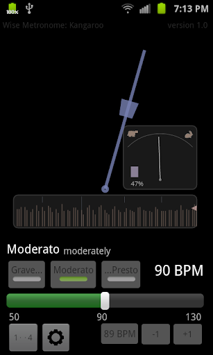 Wise Metronome: Kangaroo