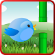 Fly Birdie APK