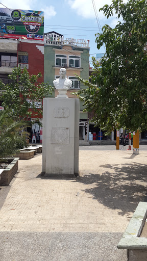 Estatua De José Manuel Goenaga