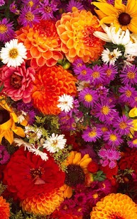 How to get Garden Flowers Live Wallpaper patch 12.0 apk for bluestacks
