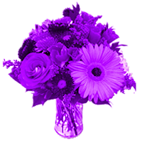 紫色の花の壁紙を生きる Androidアプリ Applion