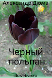 Черный тюльпан, Александр Дюма
