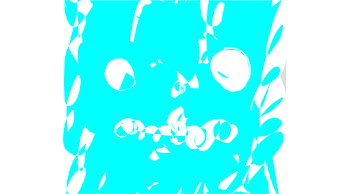 the hyponict phase