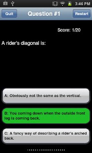 Horseback Riding: Intermediate Screenshots 5