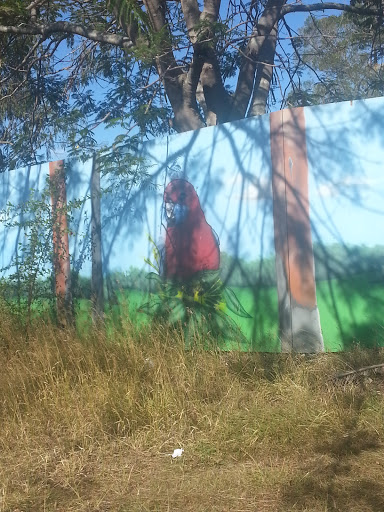 Crimson Rosella