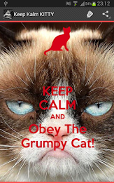 Keep Calm KITTY poster 2