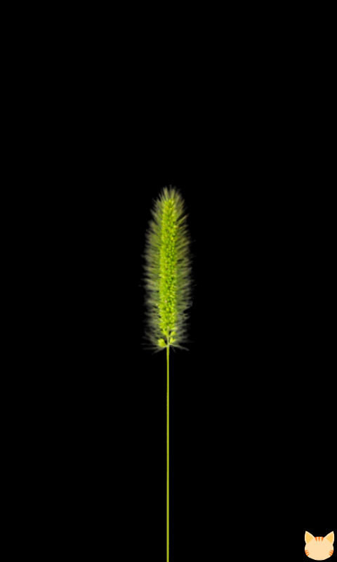 Android application Foxtail(Free Cat Toy) screenshort