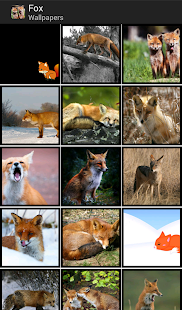 How to get Foxes - HD Wallpapers 1.0.5 unlimited apk for android