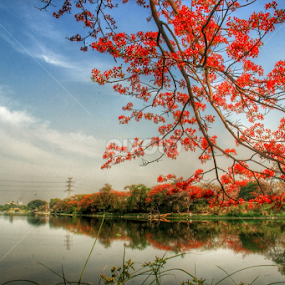 telaga ngipik by Rizal Debby - Landscapes Travel