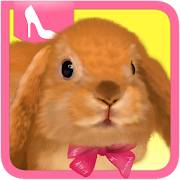 Cute Rabbit Dress Up  Icon