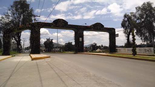Arcos Bienvenida Chiautla