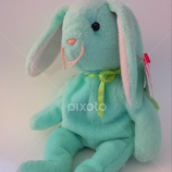 Portrait of a Bunny by Cecilia Sterling -  
