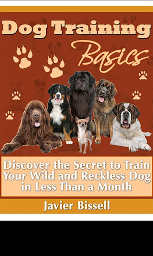Dog Training Basics