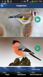 Vogelstimmen Id - Ruf + Gesang(圖4)-速報App