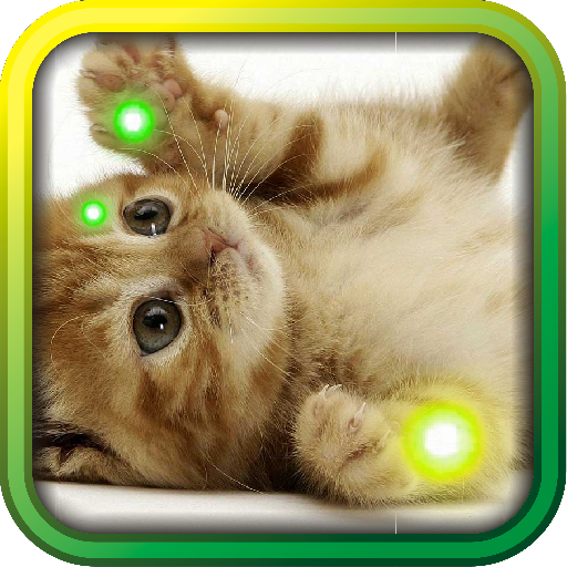 Kitty Gallery HD Photo LWP LOGO-APP點子