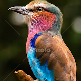 by Renos Hadjikyriacou -  