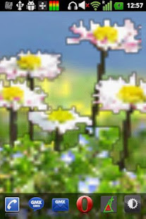 雛菊花免費壁紙(圖4)-速報App