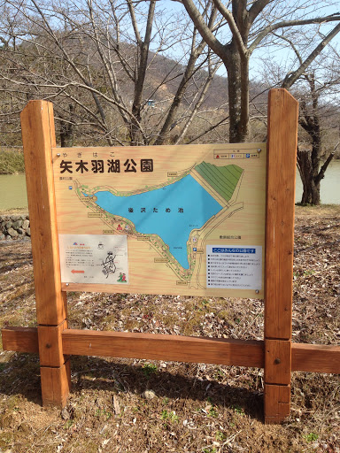 矢木羽湖公園 看板