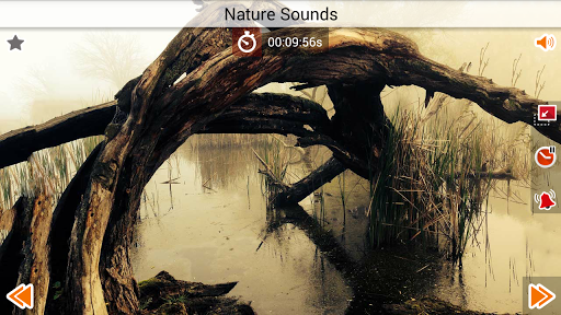 免費下載音樂APP|Nature Sounds app開箱文|APP開箱王